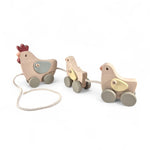 Wooden Pull Along Toys