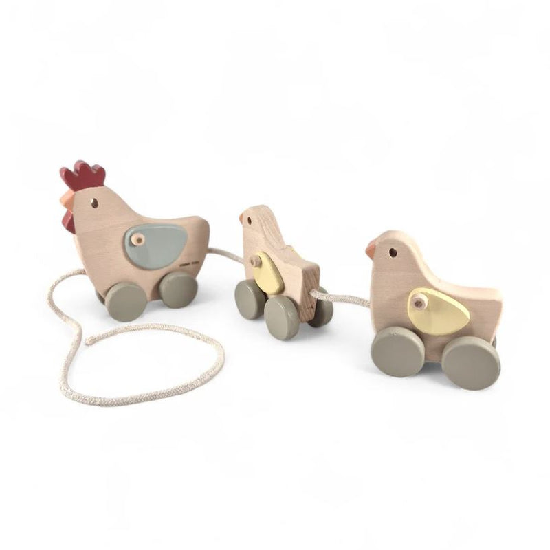 Wooden Pull Along Toys