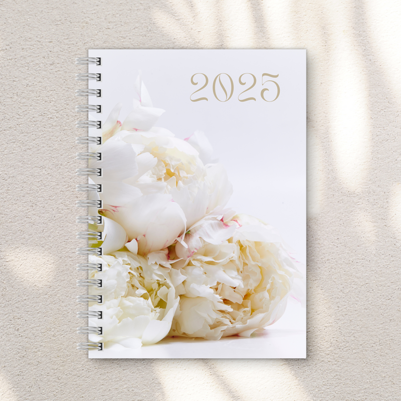 Page-a-Day Diary 2025 (On Sale)