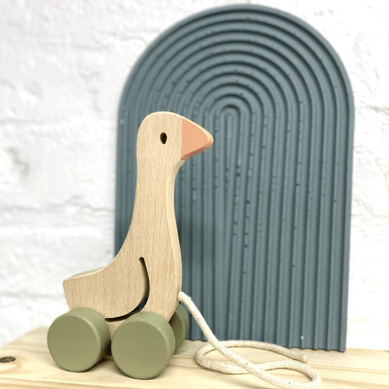 Wooden Pull Along Toys