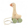 Wooden Pull Along Toys